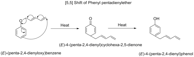 [5,5] shift of phenyl pentadienyl ether