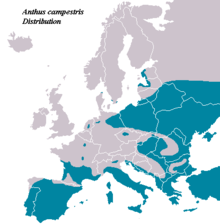 AnthusCampestris distribution.PNG