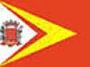 Флаг генерала Сальгадо