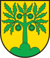 Coat of arms of Castaneda