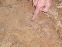 Calcite rafts in Kartchner Caverns, Arizona