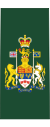 Canadian Army OR-9a.svg