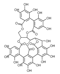 Chemical structure of castalagin