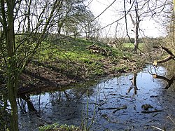 Castle Hill, Motte and Bailey - geograph.org.uk - 384115.jpg