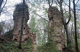 Image illustrative de l’article Château de Condé-sur-Moselle