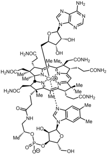 קואנזים B12