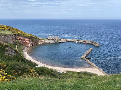 An aerial view of Cove Harbour