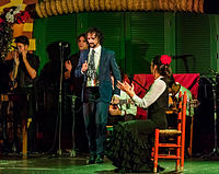 Flamenco en el Palacio Andaluz, Sevilla, España, 2015-12-06, DD 11.JPG