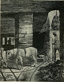 Mining the thick coal seam at one of the Earl of Dudley's pits in the 1870s Griffiths' Guide to the iron trade of Great Britain an elaborate review of the iron (and) coal trades for last year, addresses and names of all ironmasters, with a list of blast furnaces, iron (14763815742).jpg