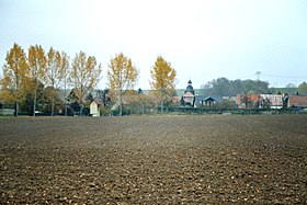 Horizonte de Hammerstedt