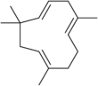 Imagen de la estructura