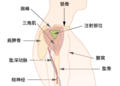 2021年8月23日 (一) 03:01版本的缩略图