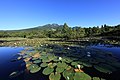 2017年10月14日 (土) 07:08時点における版のサムネイル