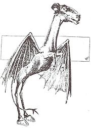 Jersey Devil Philadelphia Post 1909.jpg