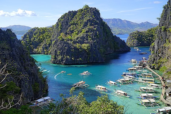 Palawan, One of the Game and Refuge Sanctuaries which was established in 1967 in the Philippines. Photograph: Theglennpalacio