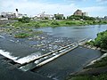 Rybí přechod na řece Koriama v Japonsku.