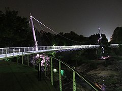 Liberty Bridge at Falls Park on the Reedy at night in 2017