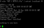 Miniatura para Netcat