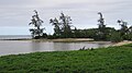 Sandbar, mudflats, and mangroves at seaward end