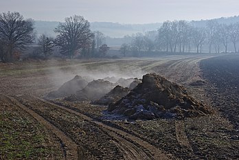 Fumier déposé sur un champ de Pérignac (Charente, France). (définition réelle 3 872 × 2 592)