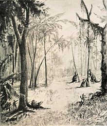 Illustration à l'encre représentant de loin des hommes découvrant des dinosaures dans une jungle.