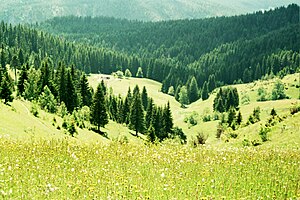 Peisazh nga Bjeshkët e Rugovës