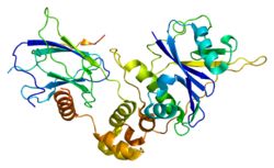Protein VHL PDB 1lm8.png