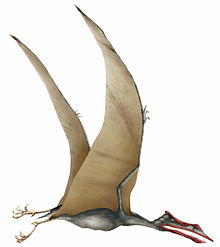 Quetzalcoatlus.jpg