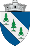 Coat of arms of Dorna-Arini