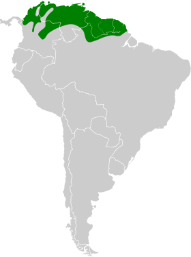 Distribución geográfica del pepitero oliváceo.