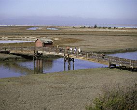 Don Edwards San Francisco Bay National Wildlife Refuge