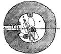 Plan du talayot.