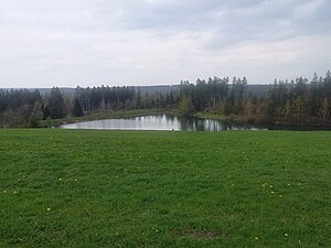 Schröterbacher Teich, Blick von Südosten