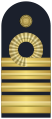 Distintivo per controspallina delle uniformi ordinaria e di servizio estiva