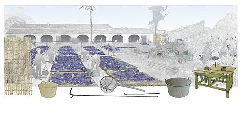 15/08: Processos d'elaboració de la pansa il·lustrats pel Museu Valencià d'Etnologia. Tradicionalment, la festa de la Mare de Déu d'Agost es prenia com la data que marcava l'inici de l'activitat.