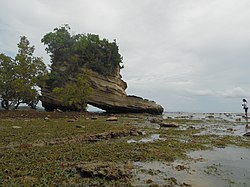 The eponymous shoe-shaped rock formation at Sapatos Point in San Andres