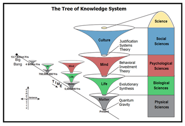 Gregg Henriques' Tree of Knowledge System Tree of Knowledge System.png