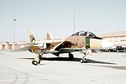 A U.S. "Top Gun" F-14A, painted to resemble an Iranian fighter for air combat adversary training.