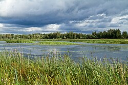 Панарама Друйкі