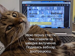 Кіт Профітроль промотує Вікімарафон