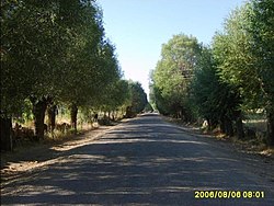 Köy girişine giden yol (Ağustos 2006)