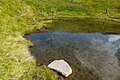 Дно озерця Ведмедиці кам'янисте, однак дуже замулене, місцями зустрічається покрив водоростей.
