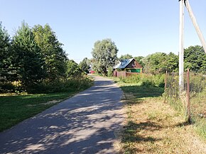Улица в деревне Люторецкое