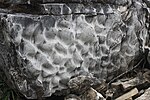 Миниатюра для Файл:Строматолиты 10 Vera Kochina.jpg