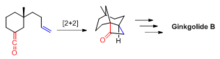 Рис. 3. Привязанная [2 + 2] реакция в общем синтезе Кори (+) - гинкголида B