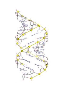 Файл: Adna3.ogv