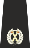 UK Police Assistant Chief Constable Epaulette