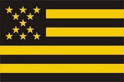 Bandera peñarol.jpg