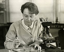 La cytogénéticienne américaine Barbara McClintock photographiée dans son laboratoire en 1947. (définition réelle 1 833 × 1 500)