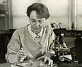 Barbara McClintock Cytogeneticist, winner of Nobel Prize in Physiology or Medicine